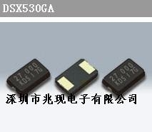 DSX530GA,ʯӢ