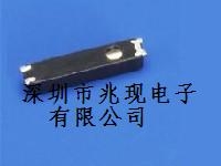 SSP-T7-FʯӢ