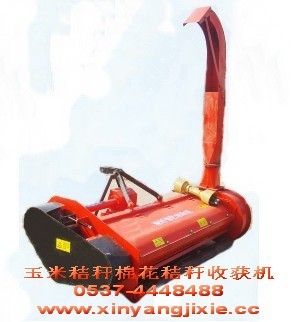 Ƚջջ-ݻմ