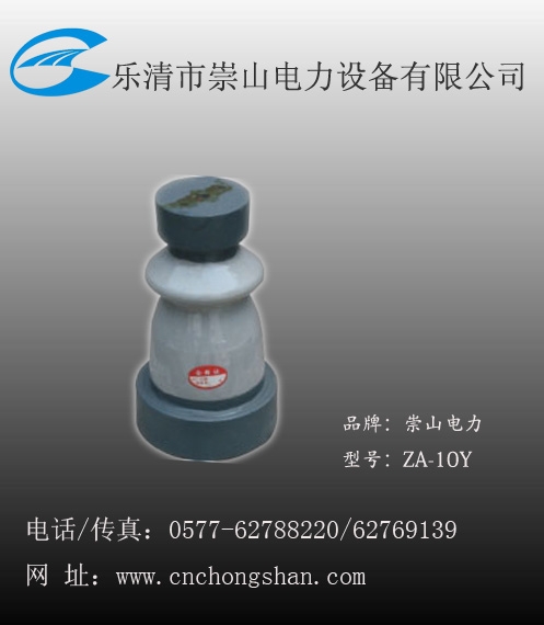 ZA-10Y֧Ե