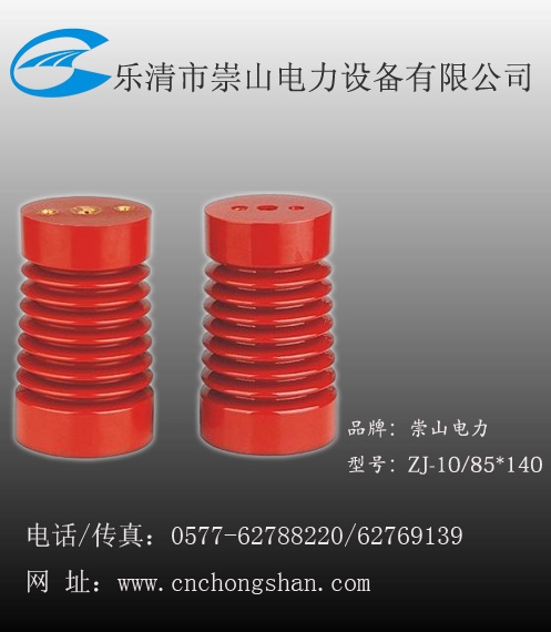 ZJ-10KV֧Ե