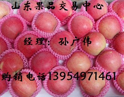 ɽƻعӦ۸