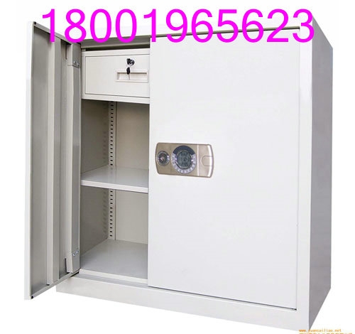 (100024)