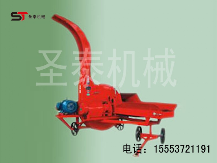 Чաݻʥ̩۸