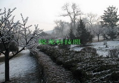 led(lk-jgs-001)