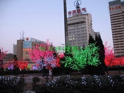 ledӣ(lk-jgs-002)