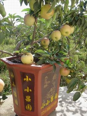 ƻ硢ƻ硢