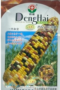 Ӧ()