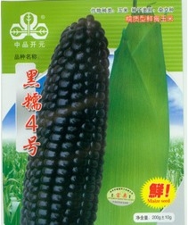 ӦŴ4Ŵ