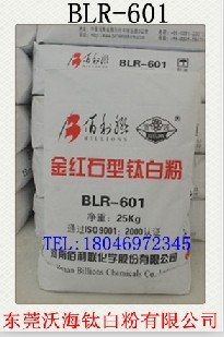 Ѱ׷R-601
