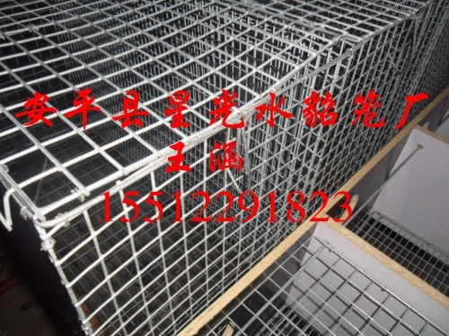 ȶпˮȶп纸