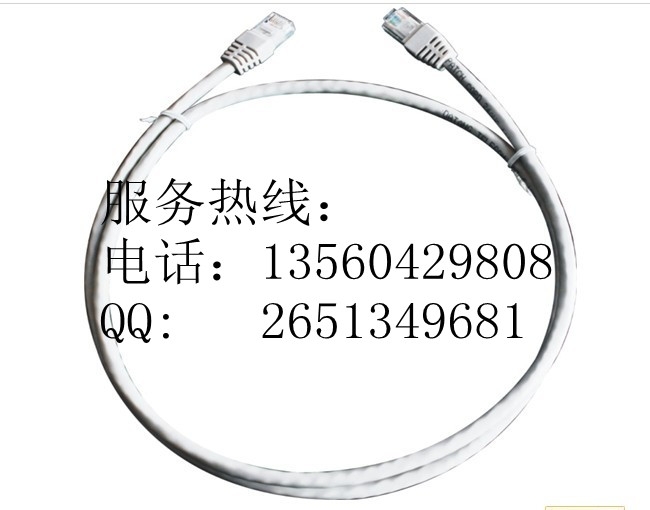 Ƶ100߼