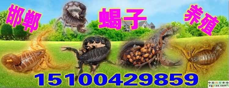 Ы15100429859
