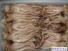 䶳