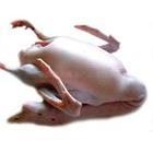 ȶƶצֱ