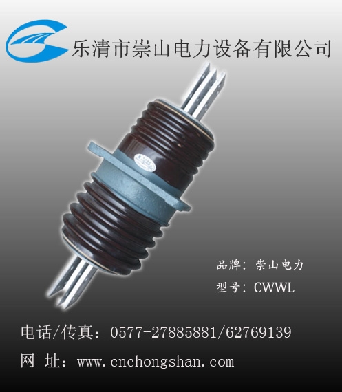 CWL-10ǽ׹,CWL-