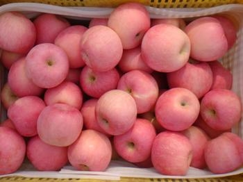 츻ʿ(츻ʿ)