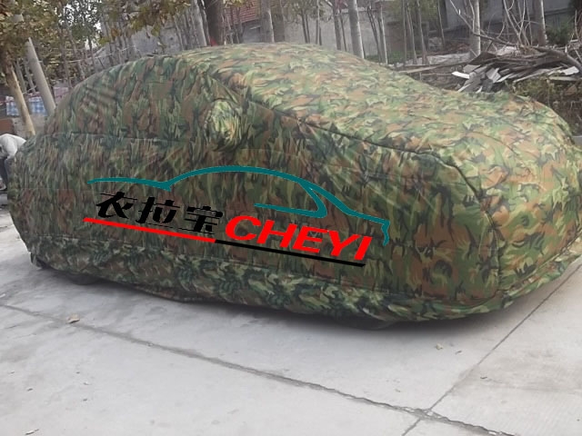 ü޳