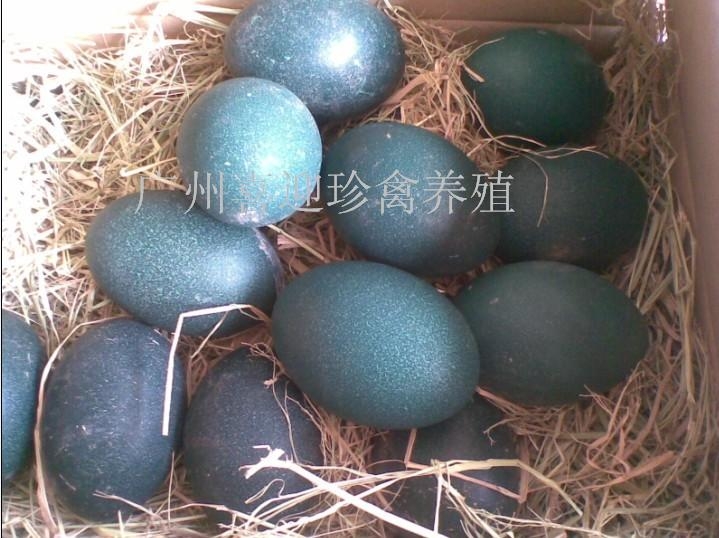 ŵ(ŵ)