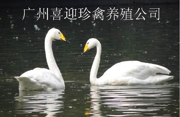 㽭ݰ۸
