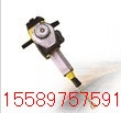 Ӧ·̸(PPSN55·)