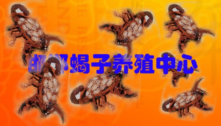 ̨Ы̨Ыֳ̨Ы