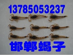 @̨Ы1378505323