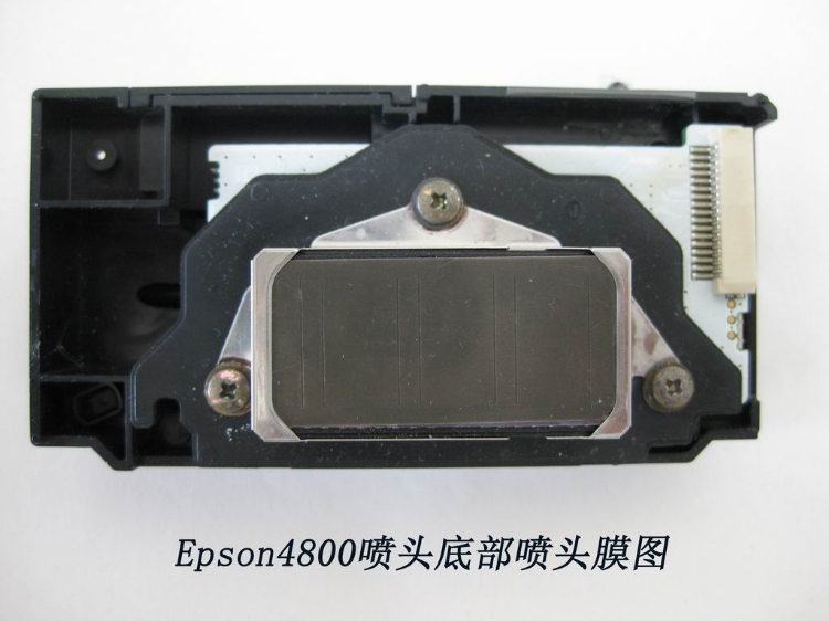 Epsonͷά