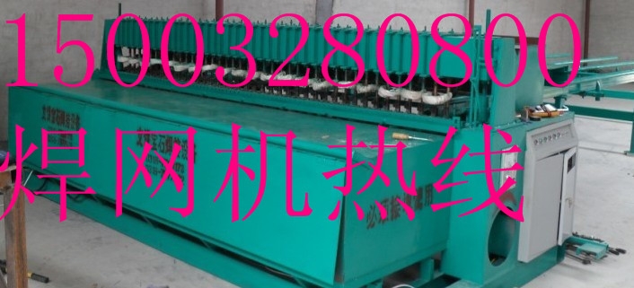 ů˿13(ů˿1212)