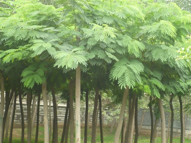 40ֽϻ۸ɽϻ