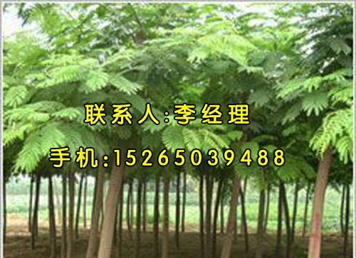 25ֽϻ۸ɽϻ