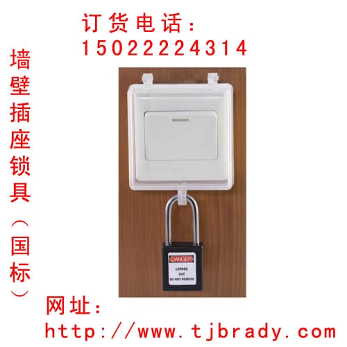 BD-8161ǽڿؾ