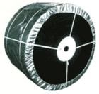 ʹ(NN100)