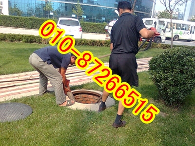 ̨87266515