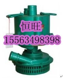 FWQB70-30綯Ǳˮ