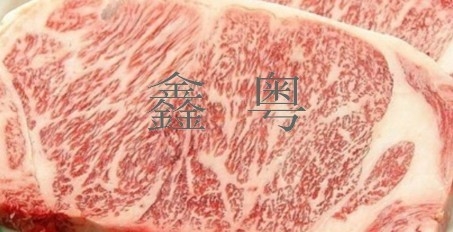 ţ(009)