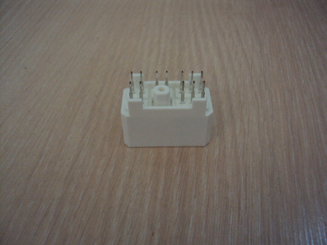 AMP(AMP)