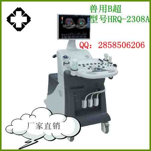 B(2308A)
