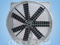 ݸ(OFS-2)