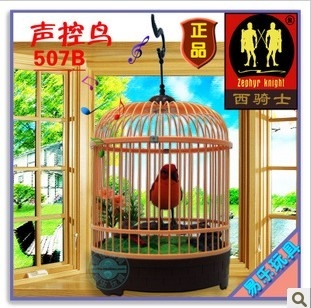 ʿ507B