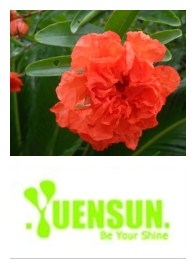 ʯȡ(YUENSUN005)