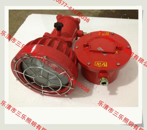 DGS175/127Bֱ