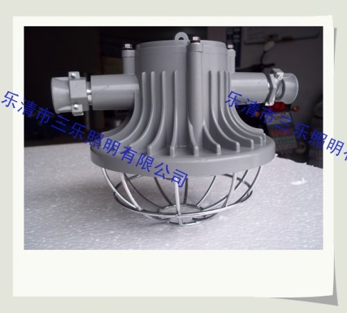 DGS24/127L(G)