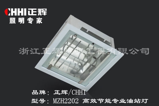 MZH2202Ч