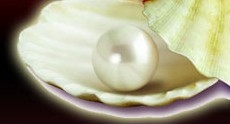 ӹ׬ǮĿѡ