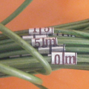 ˿2mm