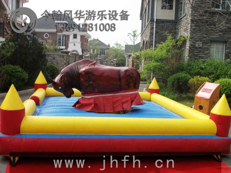ţ13691281008