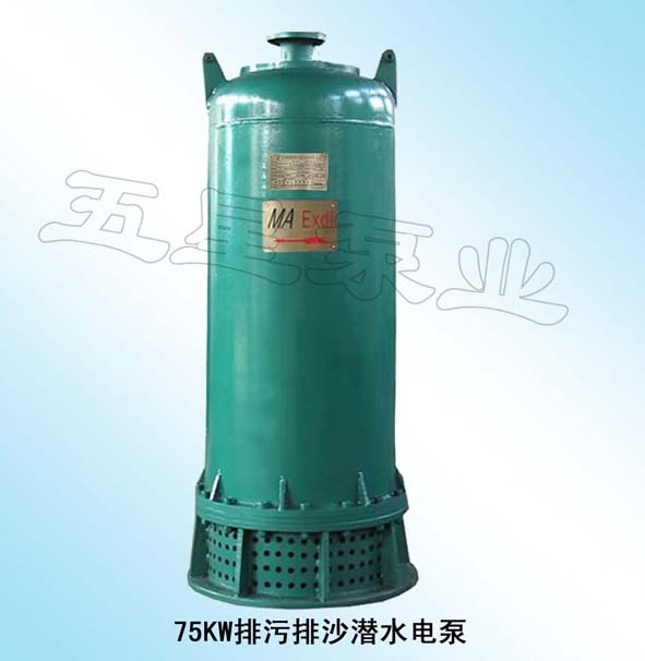 ѡ75KWǱˮ
