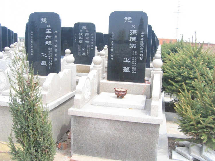 ̺Ĺ(10072)