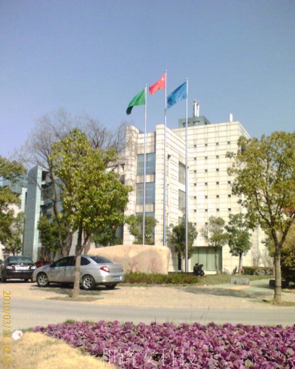 ˣֵ綯׶